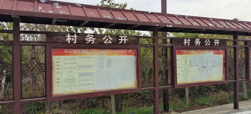陽光下的承諾 霍邱縣夏店鎮磚佛寺村公告欄的村務公開紀實